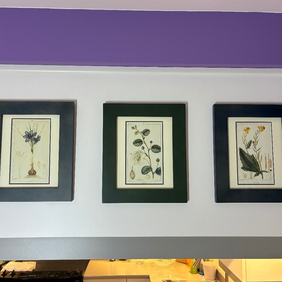 Set of 3 Framed Botanical Prints - Picture 1 of 4